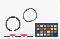 Foto von Bronzering (NHMW-PRAE-025173)